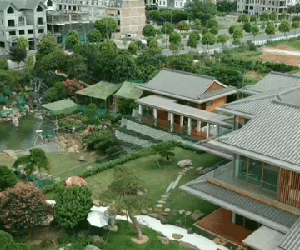 Choáng ngợp biệt phủ hơn 5.000m2 ở nội thành Hà Nội, gia chủ còn dành hẳn khu đất 7.000m2 phía sau để 'nuôi cá và trồng thêm rau'