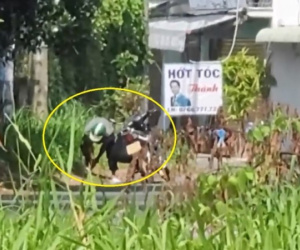 Truy xét đối tượng trộm hàng loạt nắp cống, vỉ sắt chống rác