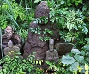 Người nông dân nhìn thấy cảnh tượng kỳ dị khi đang đốn củi, các chuyên gia đề nghị phong tỏa toàn vùng, cấm báo đài đưa tin: Phát hiện sau đó gây ngỡ ngàng