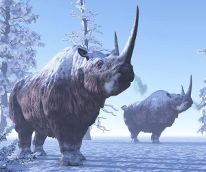 Đào vàng ở Siberia, nhóm thợ mỏ phát hiện 'xác ướp quái vật'