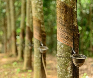 Phạm nhân 18 tuổi bị bạn tù sát hại khi đang lao động