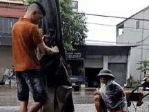 Thấy cụ ông run rẩy đội mưa bán rau, người đàn ông có hành động khiến triệu trái tim rung động
