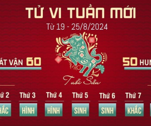 Tử vi tuần mới của 12 con giáp từ 19 - 25/8/2024: Sửu có tiền, Tý bất lợi