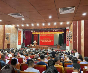 Đấu giá đất xuyên đêm tại Hà Nội: Đầu cơ đẩy giá hay nhu cầu thực của người dân?