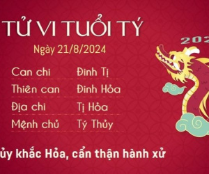 Tử vi 12 con giáp hôm nay - thứ 4 ngày 21/08/2024: Mão thăng tiến, Hợi nóng nảy