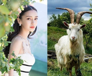 Tử vi tuổi Mùi tháng 8/2024: Sự nghiệp bế tắc, tình duyên rực sáng