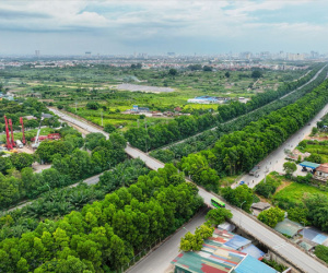 Toàn cảnh đường vào khu đất đấu giá ở Hoài Đức vừa bị chỉ đạo kiểm tra