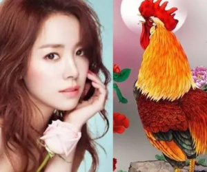 Tử vi tuổi Dậu tháng 8/2024: Tai họa dồn dập, nguy cơ khó lường