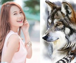 Tử vi tuổi Tuất tháng 8/2024: Kẻ xấu rình rập, cẩn thận mọi bề