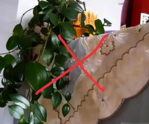 Thợ điện nhắc nhở: Đừng để 3 thứ này lên tủ lạnh, sẽ ảnh hưởng đến tuổi thọ và tốn điện