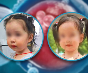 Thấy bé gái mất tích giống hệt con mình, người mẹ nghi ngờ phôi thai của mình đã bị đánh cắp