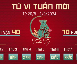 Tử vi tuần mới của 12 con giáp từ 26/8 - 1/9/2024: Tý cần chú tâm, Tuất giảm sút