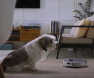 Ai dùng robot hút bụi Ecovacs phải xem ngay: Chúng có thể bị biến thành camera nhìn lén mà bạn không biết