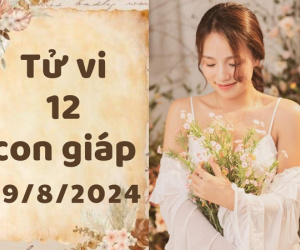 Tử vi thứ 5 ngày 29/8/2024 của 12 con giáp: Tý khéo léo, Dần nóng nảy
