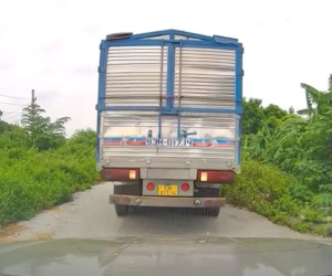 Xe tải đang đi bỗng dừng lại lùi nhanh làm móp đầu ô tô con đi phía sau