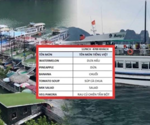 Tiết lộ thực đơn toàn rau củ quả của đoàn khách Ấn Độ trên du thuyền giữa Vịnh Hạ Long