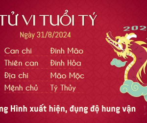 Tử vi thứ 7 ngày 31/8/2024 của 12 con giáp: Mão thăng tiến, Dậu trục trặc