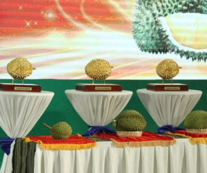 3 trái sầu riêng giá hơn 2,5 tỷ đồng có gì đặc biệt?