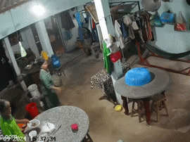 Nghỉ lễ không về nhà, người con check camera bật khóc vì hành động của bố, CĐM đồng cảm: 'Ở nhà có người phải chịu đựng tất cả'