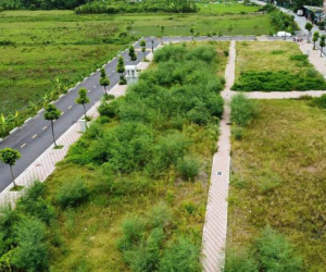 Vì sao huyện Thanh Oai, Hà Nội tiếp tục dừng đấu giá đất, trả lại tiền?