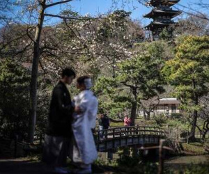 Nhật Bản hủy kế hoạch chi tiền cho phụ nữ Tokyo kết hôn với đàn ông nông thôn