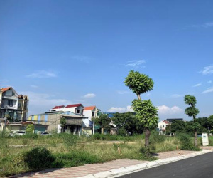 Cầm 30 lượng vàng không mua nổi mảnh đất, dân khu đấu giá lo ở quê cũng khó có nhà