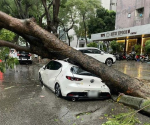 Hàng loạt ô tô ở Hà Nội bị cây đè bẹp trong cơn mưa 'nháp' trước khi siêu bão YAGI đổ bộ