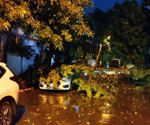Cây cổ thụ đổ la liệt, đè lên ô tô và người đi xe máy ở Thanh Hóa