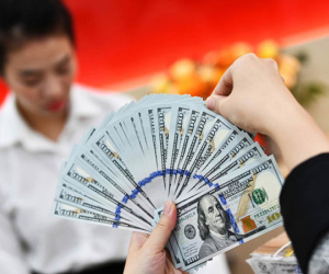 Giá USD ngân hàng và tự do cùng lao dốc