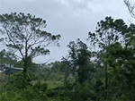 Người dân bắt đầu chia sẻ những hình ảnh đầu tiên khi bão Yagi chuẩn bị đổ bộ đất liền