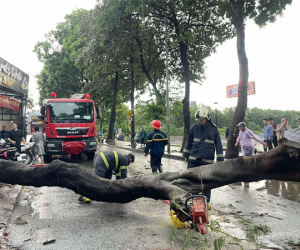 11 vụ cây đổ làm 2 người ở Hà Nội tử vong, khẩn cấp tránh ra đường