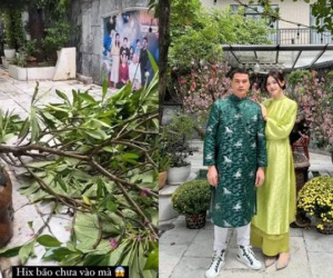 Cảnh gãy đổ, xơ xác tại căn biệt thự của Á hậu Vbiz và chồng đại gia sau cơn bão số 3