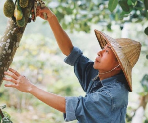 Dàn sao Việt xót xa trước loạt hình ảnh nam NSƯT Việt Hoàn đăng sau trận bão lịch sử
