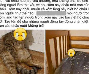 Vụ bố thịt mèo con gái nuôi 3 năm, đem chia cho hàng xóm ăn: Điều đau khổ nhất nằm sau câu chuyện gây rúng động