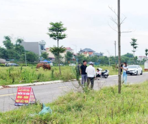 Huyện ngoại thành Hà Nội đấu giá hơn 100 lô đất