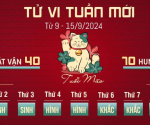 Tử vi tuần mới của 12 con giáp từ 9 - 15/9/2024: Mão tốn tiền, Tị bị hại