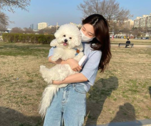Chó cưng nuôi 2 năm bỗng qua đời sau 1 ngày gửi người trông hộ, chủ tìm đến tận nơi và chứng kiến điều kinh hoàng trong tủ lạnh