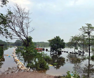 Bác tin vỡ đê ở Đông Anh