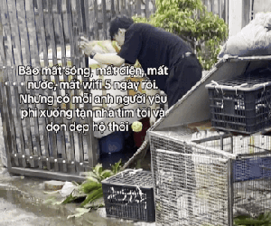 Cô gái Hải Phòng than thở nhà mất điện, mất nước 5 ngày, bạn trai liền có pha xử lý được chấm điểm tuyệt đối