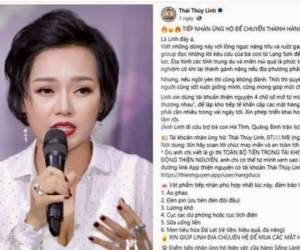 Bị tố ăn chặn tiền cứu trợ bão lũ, Thái Thuỳ Linh bức xúc lên tiếng