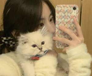 Thấy người yêu bạo hành mèo cưng của mình tàn nhẫn vì 'kêu nhiều quá phá giấc ngủ', cô gái lập tức làm 1 việc