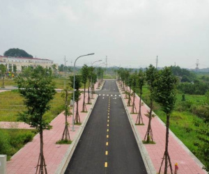 Lập đỉnh 99,2 triệu/m2, Đan Phượng sắp đấu giá 26 lô đất khởi điểm 14 triệu/m2