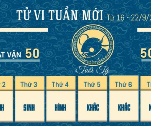 Tử vi tuần mới của 12 con giáp từ 16 - 22/9/2024: Tý thăng trầm, Thìn cần khiêm tốn