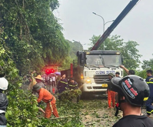 Giải cứu 2 cha con đi đường bị nhánh cây đa gãy đè lên người