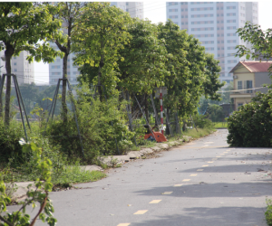 Đất Cổ Loa đua đẩy giá, hơn 200 triệu/m2 vẫn chưa bán chờ nghe ngóng