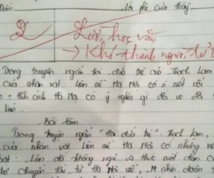 Bài văn bị chấm 2 điểm khiến cõi mạng bức xúc khi giáo viên nhận xét học sinh 'khó thành người tử tế'