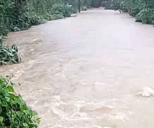 3 mẹ con ở Nghệ An bị lũ cuốn: Tìm thấy thi thể người mẹ