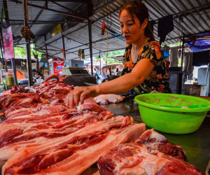 Giá thịt lợn lập đỉnh cao mới, chen chân mua thịt trâu chọi Đồ Sơn