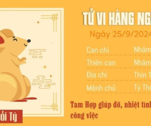 Tử vi 12 con giáp hôm nay - thứ 4 ngày 25/09/2024: Sửu thận trọng, Tị nhiều tài lộc