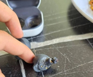 Tai nghe Samsung Galaxy Buds FE bất ngờ phát nổ, người dùng mất thính lực vĩnh viễn